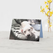 Foto van Cute Lazy White Dog Hanging out with Dad Kaart (Gele Bloem)