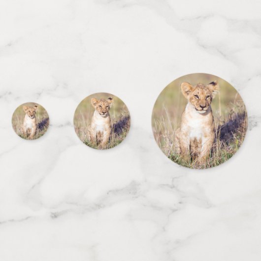 Foto van Cute lion cub in Afrika Confetti (Voorkanten)