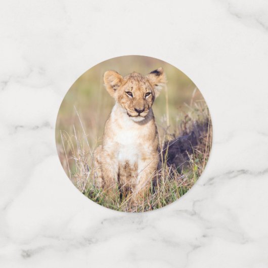 Foto van Cute lion cub in Afrika Confetti (Kleine voorkant)