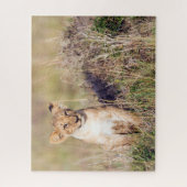 Foto van Cute lion cub in Afrika Legpuzzel (Verticaal)