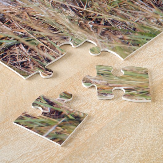 Foto van Cute lion cub in Afrika Legpuzzel (Zijkant)