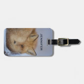 Foto van Cute Little Fox gekrompen in Winter Bagagelabel (Voorkant horizontaal)