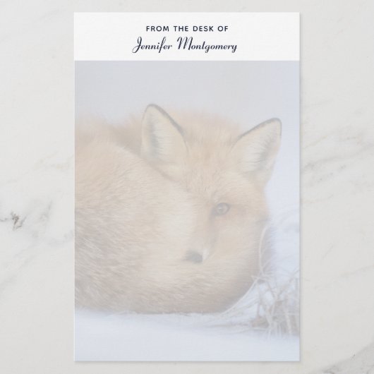 Foto van Cute Little Fox gekrompen in Winter Briefpapier (Voorkant)