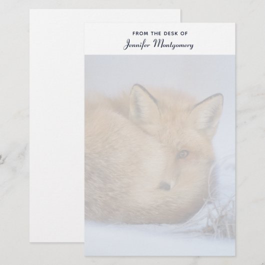 Foto van Cute Little Fox gekrompen in Winter Briefpapier (Voorkant / Achterkant)