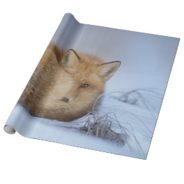 Foto van Cute Little Fox gekrompen in Winter Cadeaupapier