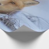 Foto van Cute Little Fox gekrompen in Winter Cadeaupapier (Hoek)