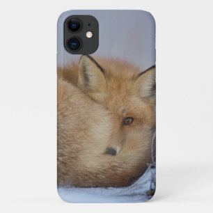 Foto van Cute Little Fox gekrompen in Winter Case-Mate iPhone Case