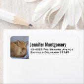 Foto van Cute Little Fox gekrompen in Winter Etiket (Insitu)