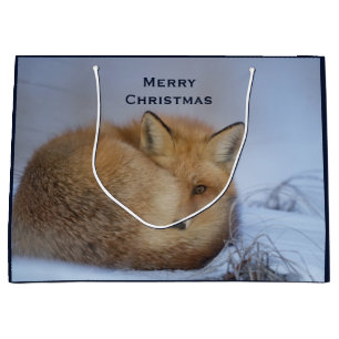 Foto van Cute Little Fox gekrompen in Winter Groot Cadeauzakje