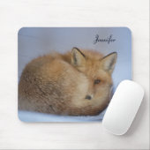 Foto van Cute Little Fox gekrompen in Winter Muismat (Met muis)