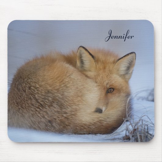 Foto van Cute Little Fox gekrompen in Winter Muismat (Voorkant)
