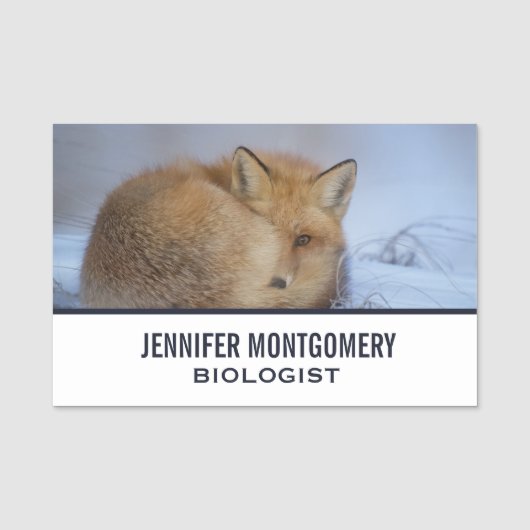 Foto van Cute Little Fox gekrompen in Winter Naamplaatje (Voorkant)