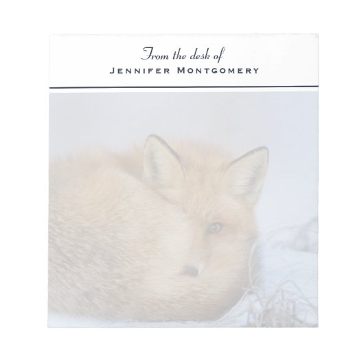 Foto van Cute Little Fox gekrompen in Winter Notitieblok (Voorkant)