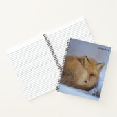 Foto van Cute Little Fox gekrompen in Winter Notitieboek (Binnen)