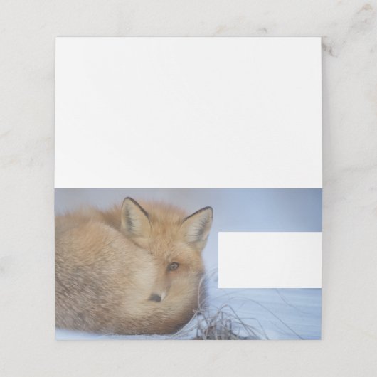 Foto van Cute Little Fox gekrompen in Winter Plaatskaartje (Buitenkant ongevouwen)