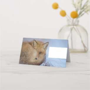 Foto van Cute Little Fox gekrompen in Winter Plaatskaartje