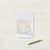 Foto van Cute Little Fox gekrompen in Winter Post-it® Notes (Op bureau)