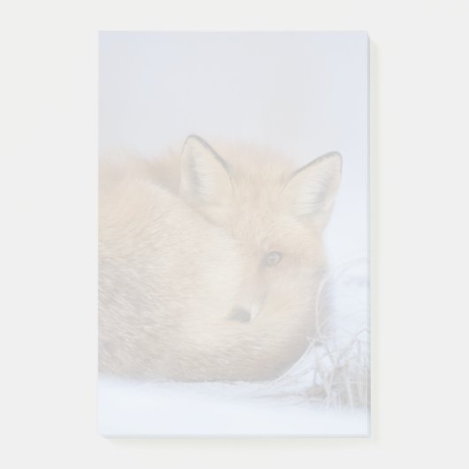 Foto van Cute Little Fox gekrompen in Winter Post-it® Notes (Voorkant)