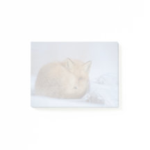 Foto van Cute Little Fox gekrompen in Winter