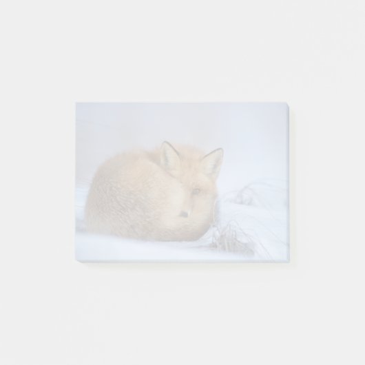 Foto van Cute Little Fox gekrompen in Winter Post-it® Notes (Voorkant)