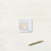 Foto van Cute Little Fox gekrompen in Winter Post-it® Notes (Op bureau)