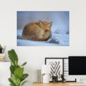Foto van Cute Little Fox gekrompen in Winter Poster (Thuiskantoor)