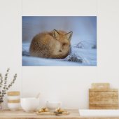 Foto van Cute Little Fox gekrompen in Winter Poster (Keuken)