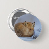 Foto van Cute Little Fox gekrompen in Winter Ronde Button 5,7 Cm (Voorkant /achterkant)