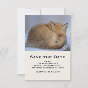Foto van Cute Little Fox gekrompen in Winter Save The Date