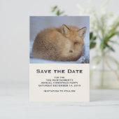 Foto van Cute Little Fox gekrompen in Winter Save The Date (Staand voorkant)