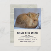 Foto van Cute Little Fox gekrompen in Winter Save The Date (Voorkant / Achterkant)