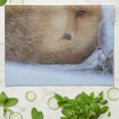 Foto van Cute Little Fox gekrompen in Winter Theedoek (Gevouwen)