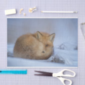 Foto van Cute Little Fox gekrompen in Winter Tissuepapier (Craft)