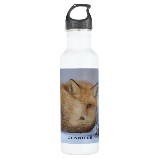 Foto van Cute Little Fox gekrompen in Winter Waterfles (Voorkant)