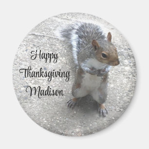 Foto van Cute Little Squirrel met Fluffy Tail Magneet