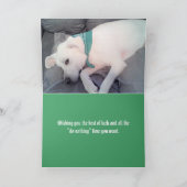 Foto van Cute Luie Hond Funny St. Patrick's Day Kaart (Binnen)