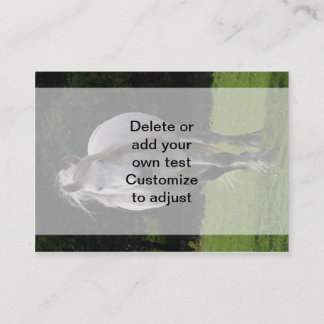 Foto van Cute pony Visitekaartje