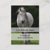 Foto van Cute pony Visitekaartje (Voorkant)