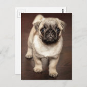 Foto van Cute Pug Briefkaart (Voorkant / Achterkant)