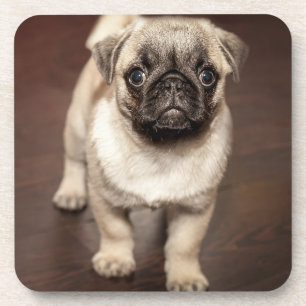 Foto van Cute Pug Onderzetter