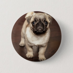 Foto van Cute Pug Ronde Button 5,7 Cm