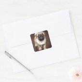Foto van Cute Pug Vierkante Sticker (Envelop)