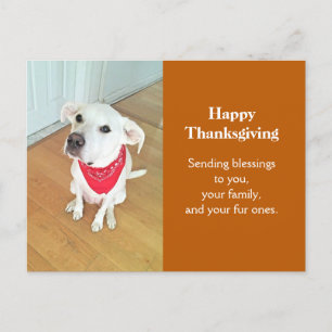 Foto van Cute Pup Dog met Funny Ears die uitkijken Briefkaart