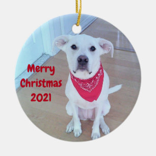 Foto van Cute Pup Dog met grappige blikken uit de Keramisch Ornament