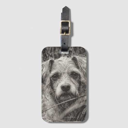 Foto van Cute Puppy Black en Whie Portret Bagagelabel (Voorkant (verticaal))