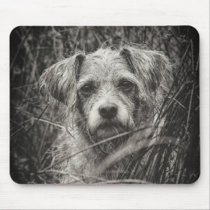 Foto van Cute Puppy Black en Whie Portret Muismat