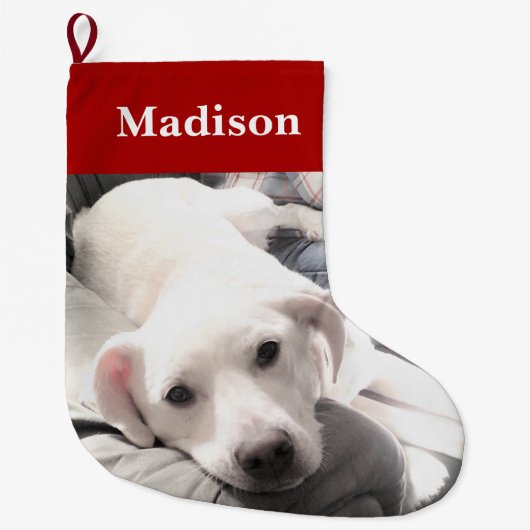 Foto van Cute Puppy Dog Red Grote Kerstsok (Voorkant)