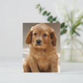 Foto van Cute Puppy Portret Briefkaart (Staand voorkant)