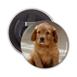 Foto van Cute Puppy Portret Button Flesopener