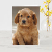 Foto van Cute Puppy Portret Kaart (Gele Bloem)